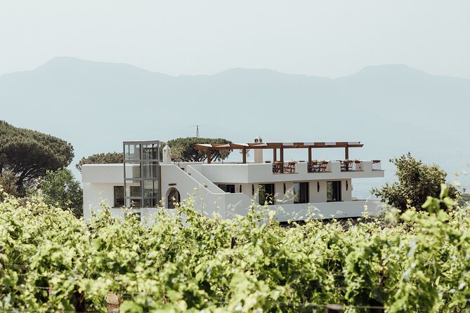 Scenic Wine Tasting & Lunch on the Slopes of Vesuvius from Naples - From Starhotels Terminus to the volcanic slopes
