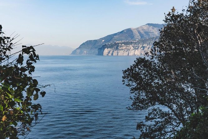 Shared Shuttle Service from Naples Central Station to Sorrento - Key points to know before you book