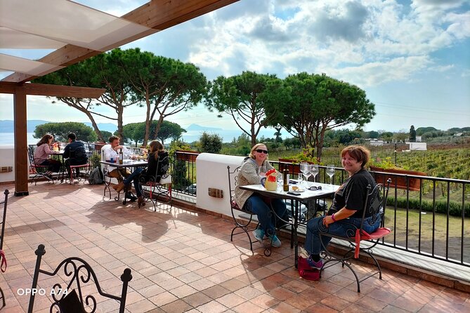 Shore excursion Naples city tour, Pompeii & Winery Cantina del Vesuvio - What the private vehicle changes