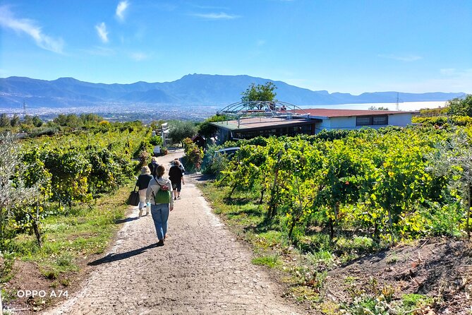 Shore excursion Naples city tour, Pompeii & Winery Cantina del Vesuvio - Is $306.46 a fair price?