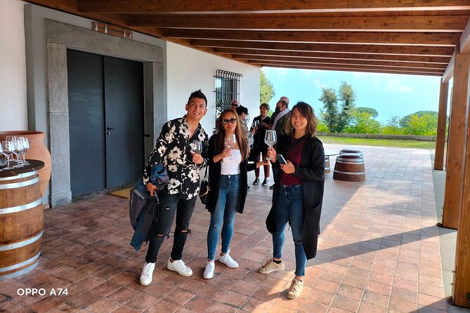 Shore excursion Naples city tour, Pompeii & Winery Cantina del Vesuvio - Pompeii with only two hours on the ground