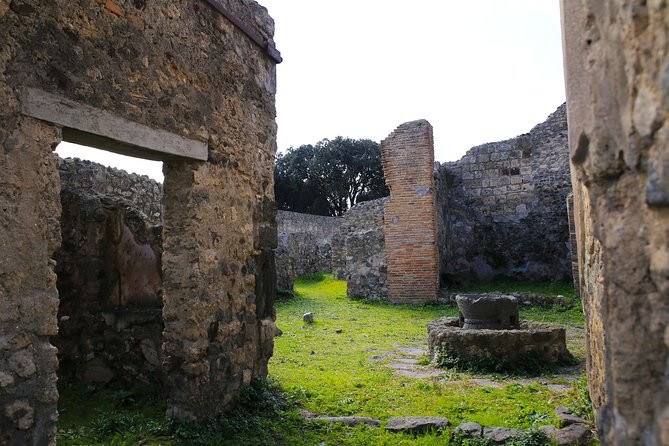Shore Excursion Tour for Kids from Naples to Pompeii and Amalfi Coast - What the private minivan changes