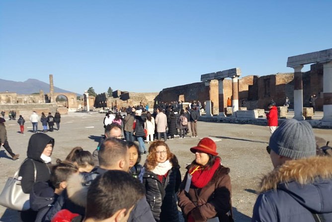 Shore tour of Pompeii, Vesuvius and Herculaneum. - Who should book this experience