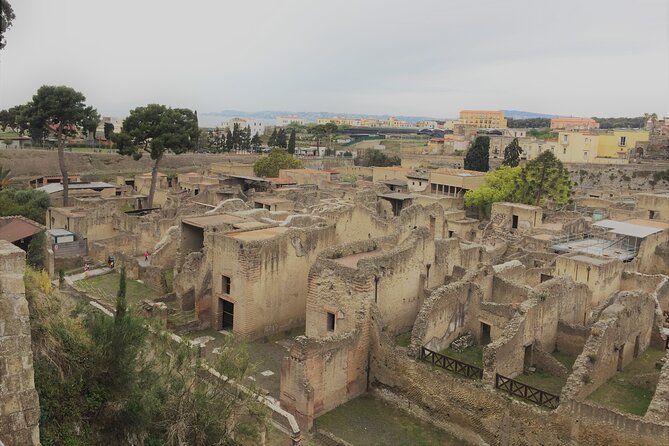 Skip the Line Ancient Herculaneum Walking Tour with Top Rated Guide - College of the Augustales
