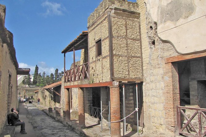 Skip the Line Ancient Herculaneum Walking Tour with Top Rated Guide - Inside the archaeological park