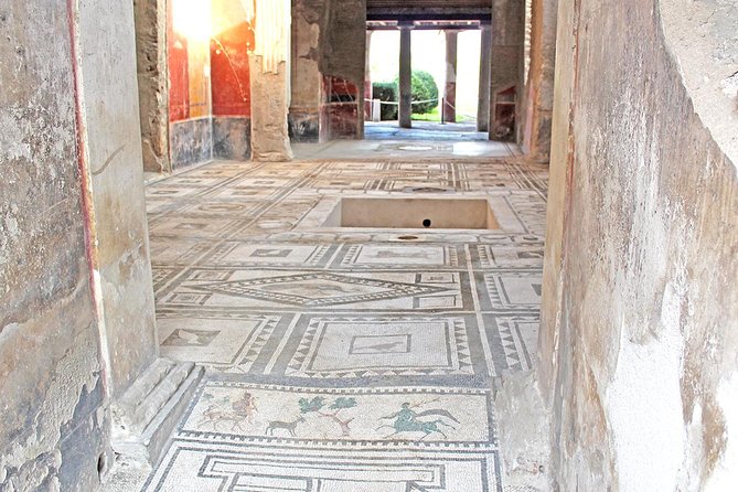 Skip-the-Line Exclusive Private Ancient Pompeii & Vesuvius Volcano Full Day Tour - A private route from Naples to two famous sights