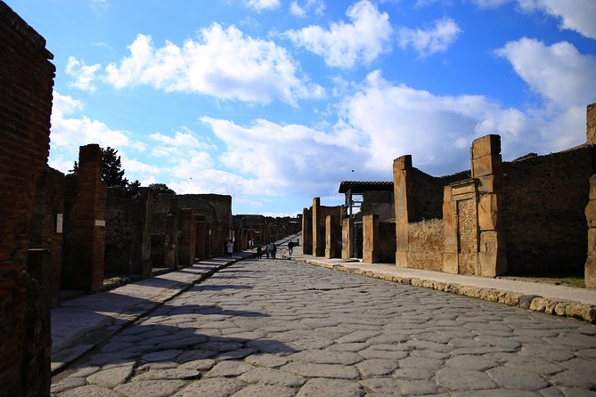Skip-the-Line Exclusive Private Ancient Pompeii & Vesuvius Volcano Full Day Tour - Why the driver matters as much as the guide
