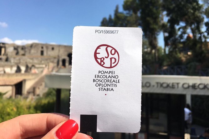 Skip the Line Herculaneum Ruins Ticket - Key points to know before you book