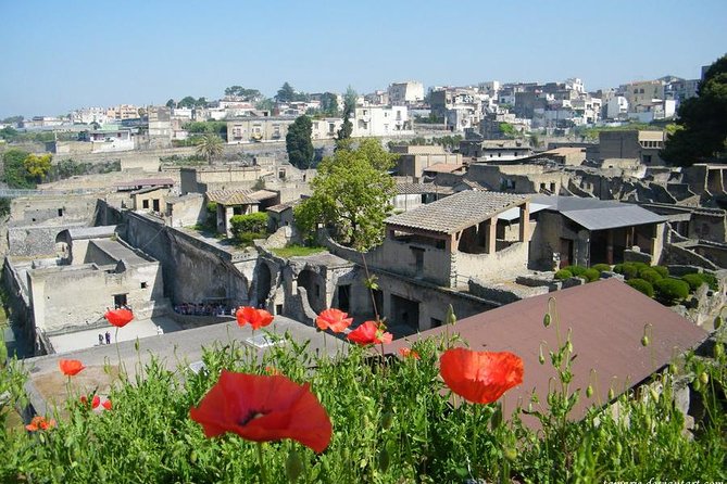 Skip the Line Herculaneum Ruins Ticket - Pause at the Terrace of M. Nonio Balbo