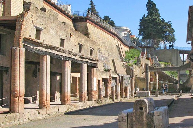 Skip the Line Herculaneum Ruins Ticket - Visit the College of the Augustales
