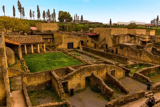 Skip-the-Line Ticket for Herculaneum Ruins - Key points to know before you book