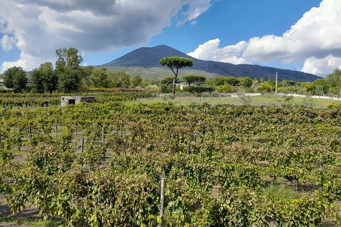 Skip-The-Line Tickets VIP Small Group Tour To Pompei and Vesuvius - Climbing Mount Vesuvius National Park