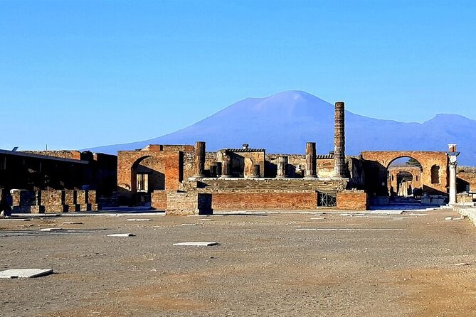 Skip-The-Line Tickets VIP Small Group Tour To Pompei and Vesuvius - Who should book this full-day outing?
