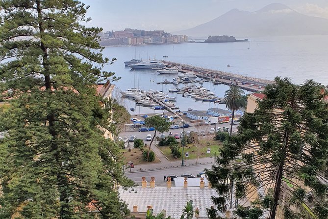 Small Group Naples City Sightseeing Tour - Guide quality and language are important here