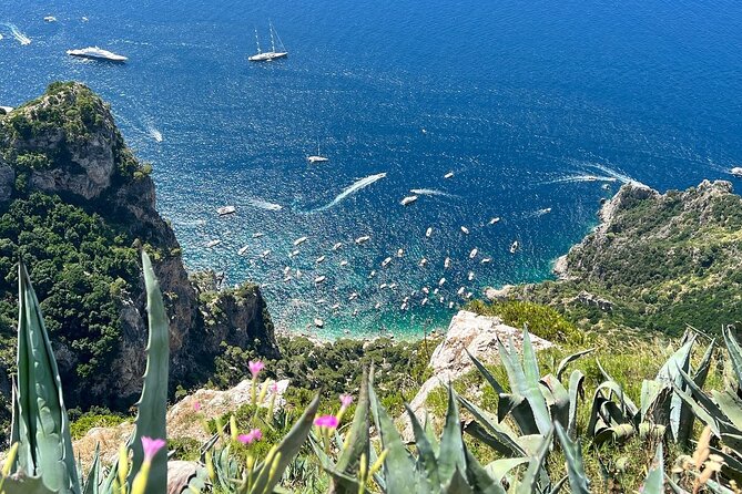 Small Group Tour from Rome to Blue Grotto, Anacapri and Capri - Piazzetta di Capri and the island’s polished side