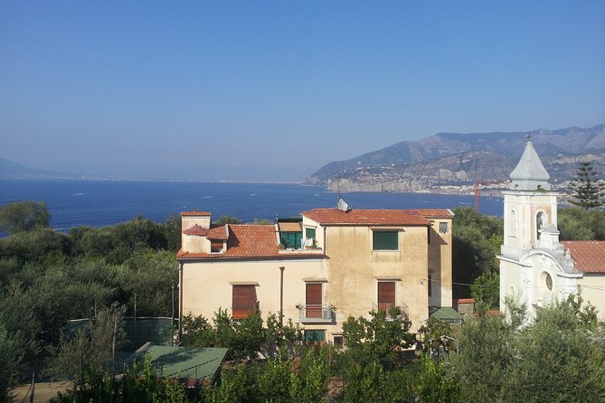 Sorrento Positano and Pompeii - A big Naples day in a private minivan