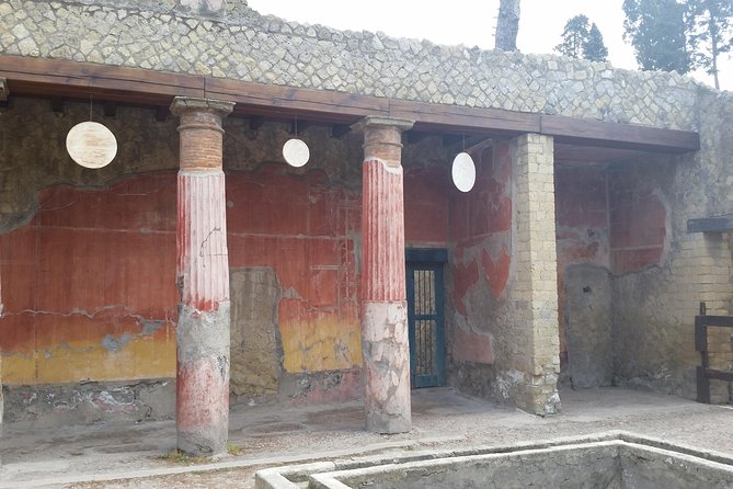Tour in the ruins of Herculaneum with an archaeologist - Two Hours Inside the Herculaneum Ruins