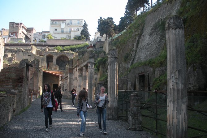 Tour in the ruins of Herculaneum with an archaeologist - Who Will Enjoy This Herculaneum Tour