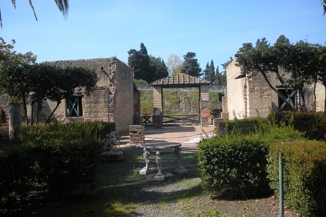 Tour in the ruins of Herculaneum with an archaeologist - Booking and Cancellation Details