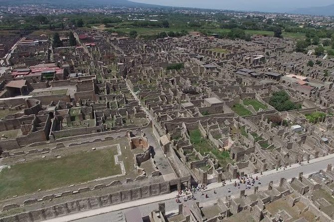 Tour of Mt. Vesuvius+Sorrento+Pompeii (Full Day) - What the private vehicle adds