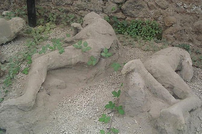 Tour of Mt. Vesuvius+Sorrento+Pompeii (Full Day) - Who will get the most from this day