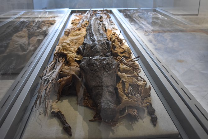 Tour of the Archaeological Museum of Naples - The reopened Egyptian section
