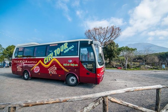 Tramvia Napoli: Transfer to Herculaneum Ruins + Vesuvius - Key points to know before booking