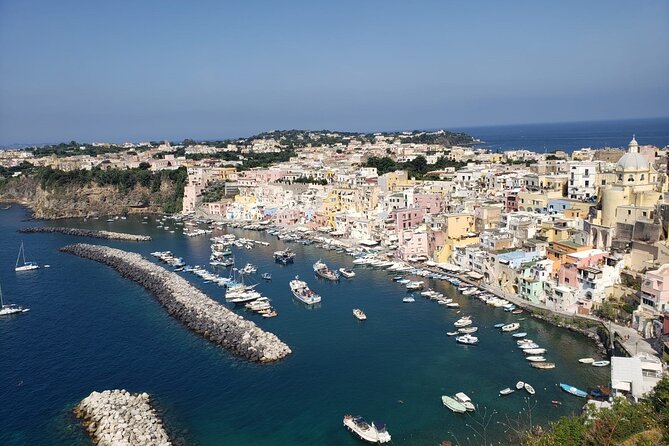 Transfer From Naples area to Amalfi Coast area and vice versa - Is $123.88 per person a fair price?