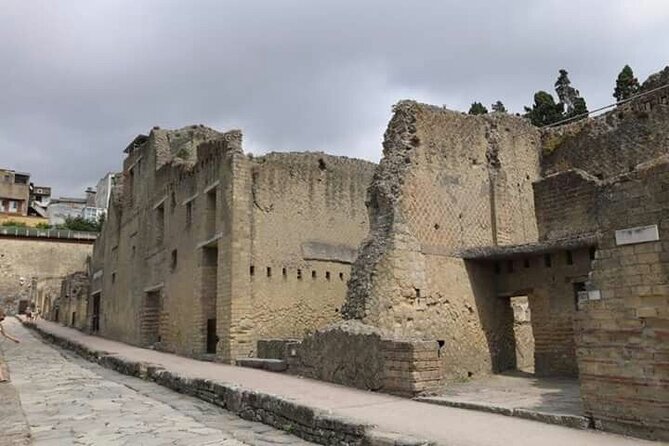 Transfer From Naples Train Station/area to Sorrento 2hr stop in Herculaneum - What the $178.03 price really buys