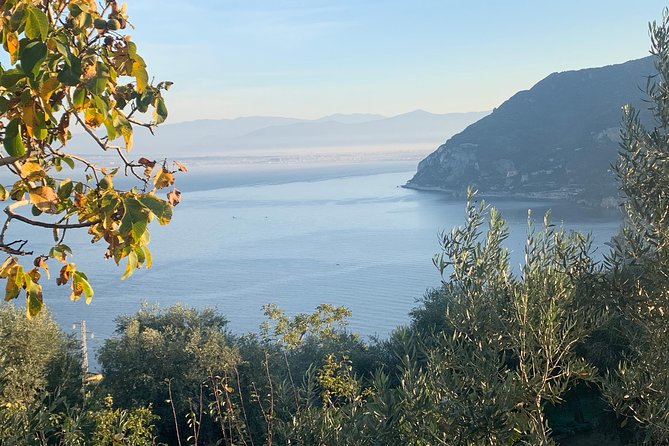Unique Tour | Discovering Amalfi on a Minivan with driver - Ravello: gardens above the water