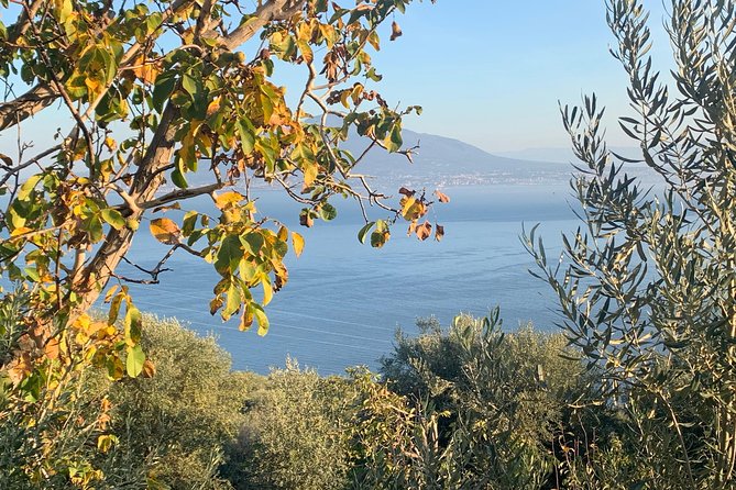 Unique Tour | Discovering Amalfi on a Minivan with driver - Why the private minivan matters