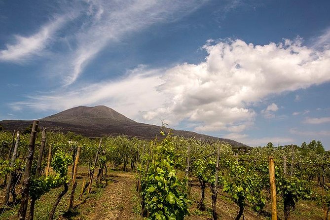 Vesuvio Gran cono + Wine Tasting & Lunch + Transfer from Naples - Why the volcano and winery belong together