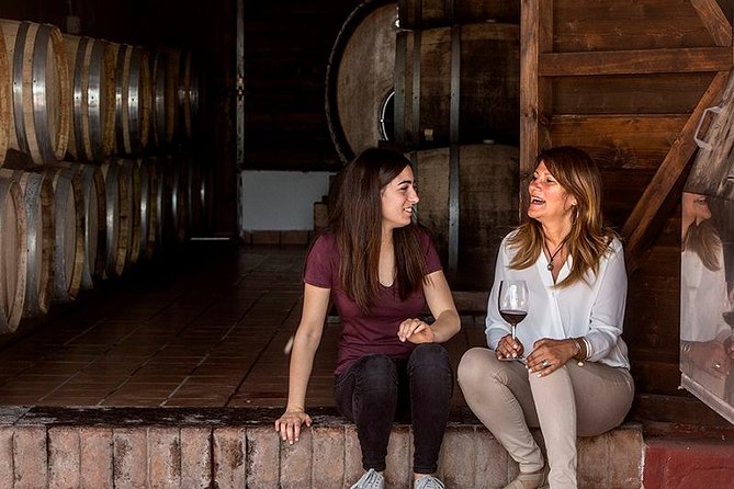 Vesuvio Gran cono + Wine Tasting & Lunch + Transfer from Naples - The private transfer from Naples