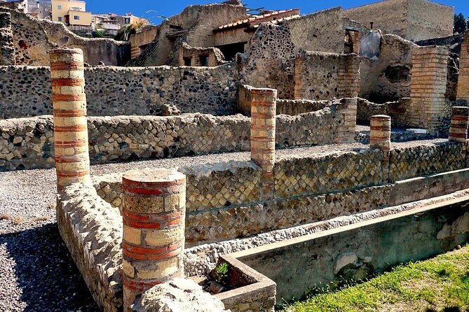 Vesuvius and Herculaneum Day Trip from Naples with Skip the Line - Pickup details deserve careful attention