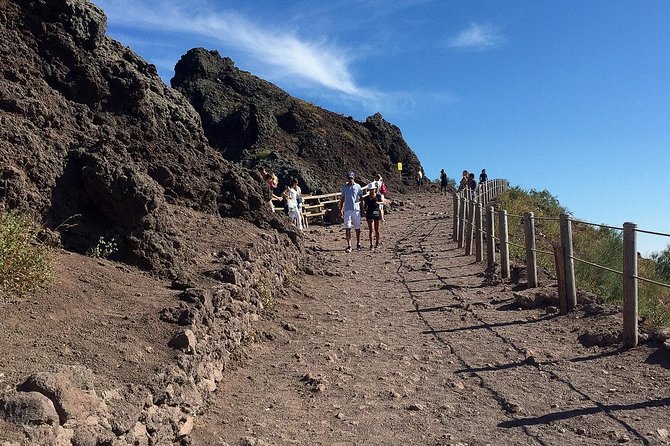 Vesuvius and Herculaneum Day Trip from Naples with Skip the Line - Who will enjoy this day trip most