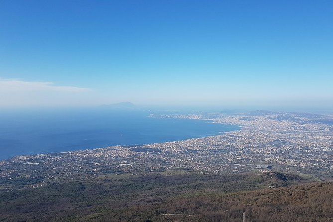 Vesuvius: Half Day Trip from Naples - What this half-day Vesuvius trip really offers
