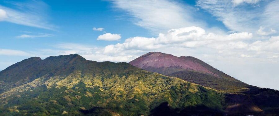 Vesuvius National Park Skip-The-Line Ticket and Audio Guide - Is the skip-the-line ticket worth $29?