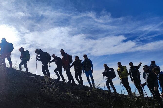 Vesuvius, V.I.P. the only Tour with Volcanological Guide - Key points at a glance