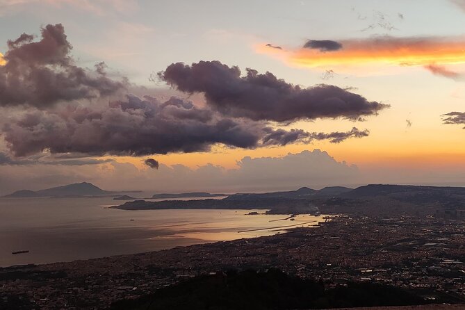 Vesuvius, V.I.P. the only Tour with Volcanological Guide - Is $215.54 a fair price?