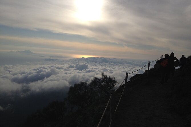 Vesuvius, V.I.P. the only Tour with Volcanological Guide - Starting at Piazzale di Quota 1000