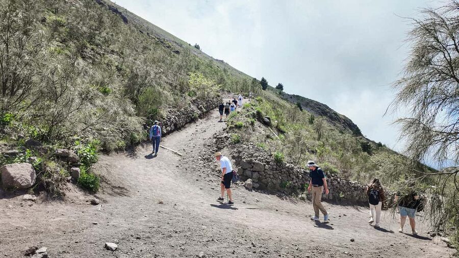 Vesuvius Volcano Experience: from Naples, Pompeii and Rome - What the price includes at $37