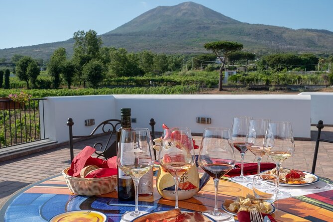Vesuvius Wine Tasting Experience with Lunch Included - Who will get the most from this visit