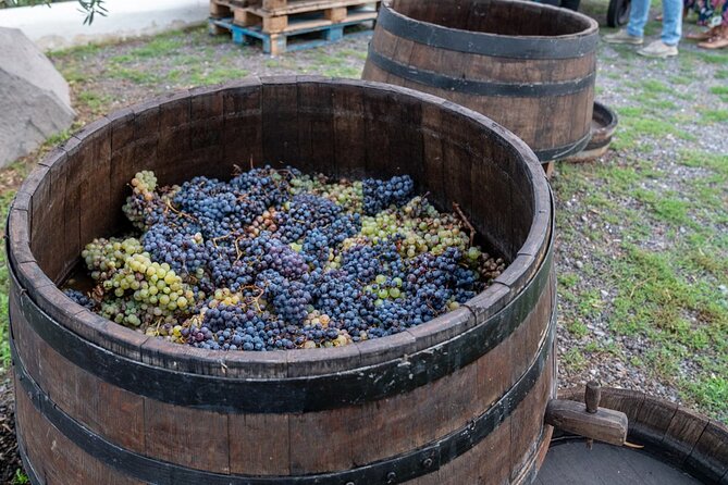 Vesuvius Wine Tasting Experience with Lunch Included - Should you book the Vesuvius wine tasting?