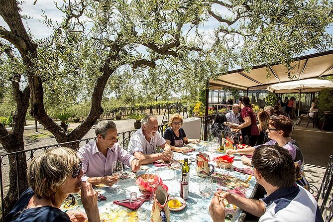 Vesuvius Wine Tasting Experience with Lunch Included - The vineyard and cellar visit