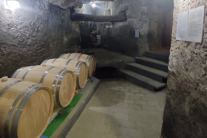Vesuvius wine tasting with company tour - Key points to know before you book