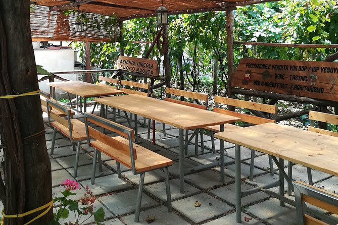Vesuvius wine tasting with company tour - Tasting the white, red, and rosé sparkling wines
