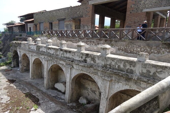 Ville di Stabiae (Transfer from Castellammare di stabia+guide) - Is $232.71 Good Value?