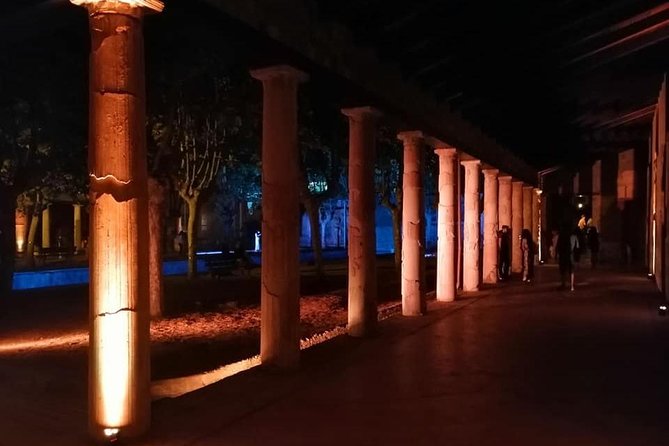 Ville di Stabiae (Transfer from Castellammare di stabia+guide) - Who Should Book the Stabiae Villas Tour?