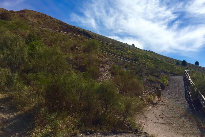 Vintage Van Experience: Tour and Transfer to Mt. Vesuvius - Who should book this experience
