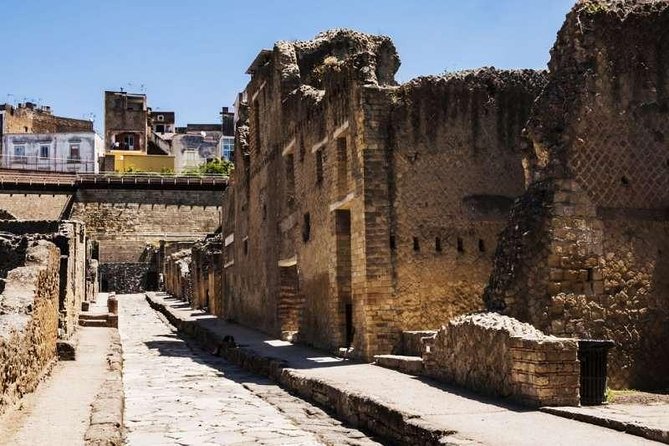 Visit Herculaneum with an expert professional guide (2/3 hours) - Getting Ready for the Archaeological Park